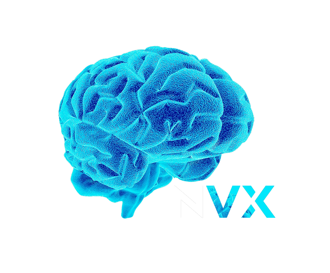 NVX, NeuroVox
